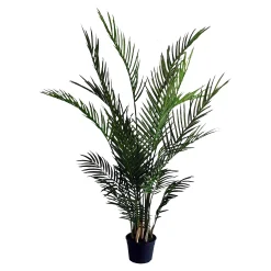 Topfpflanze Arecapalme Ca. 120Cm^Depot Cheap