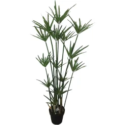 Hot Depot Topfpflanze Zyperngras Ca. 120Cm