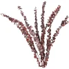 Best Sale Depot Trockenblume Eukalyptus