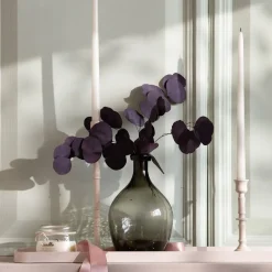 Shop Depot Trockenblume Eukalyptus Bold