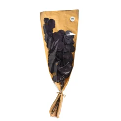 Shop Depot Trockenblume Eukalyptus Bold