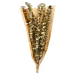 Trockenblume Eukalyptus Ca.55C^Depot Cheap