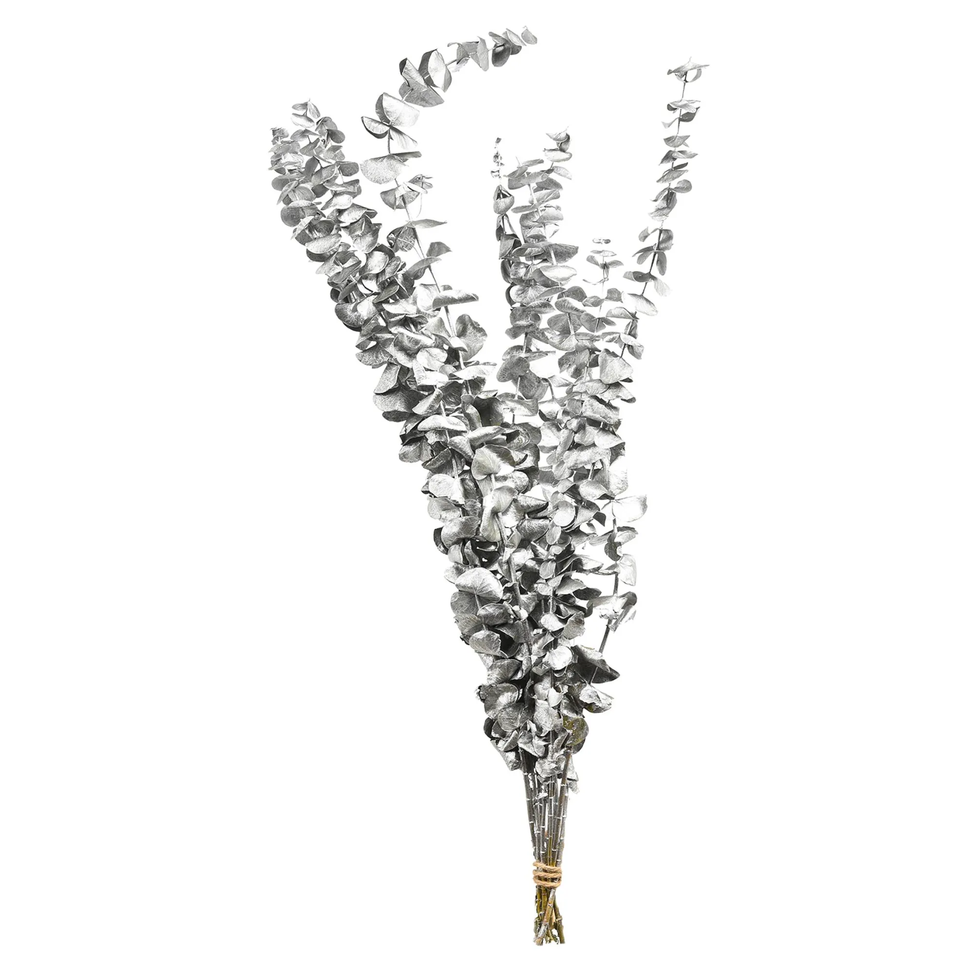 Trockenblume Eukalyptus Ca.55C^Depot Cheap