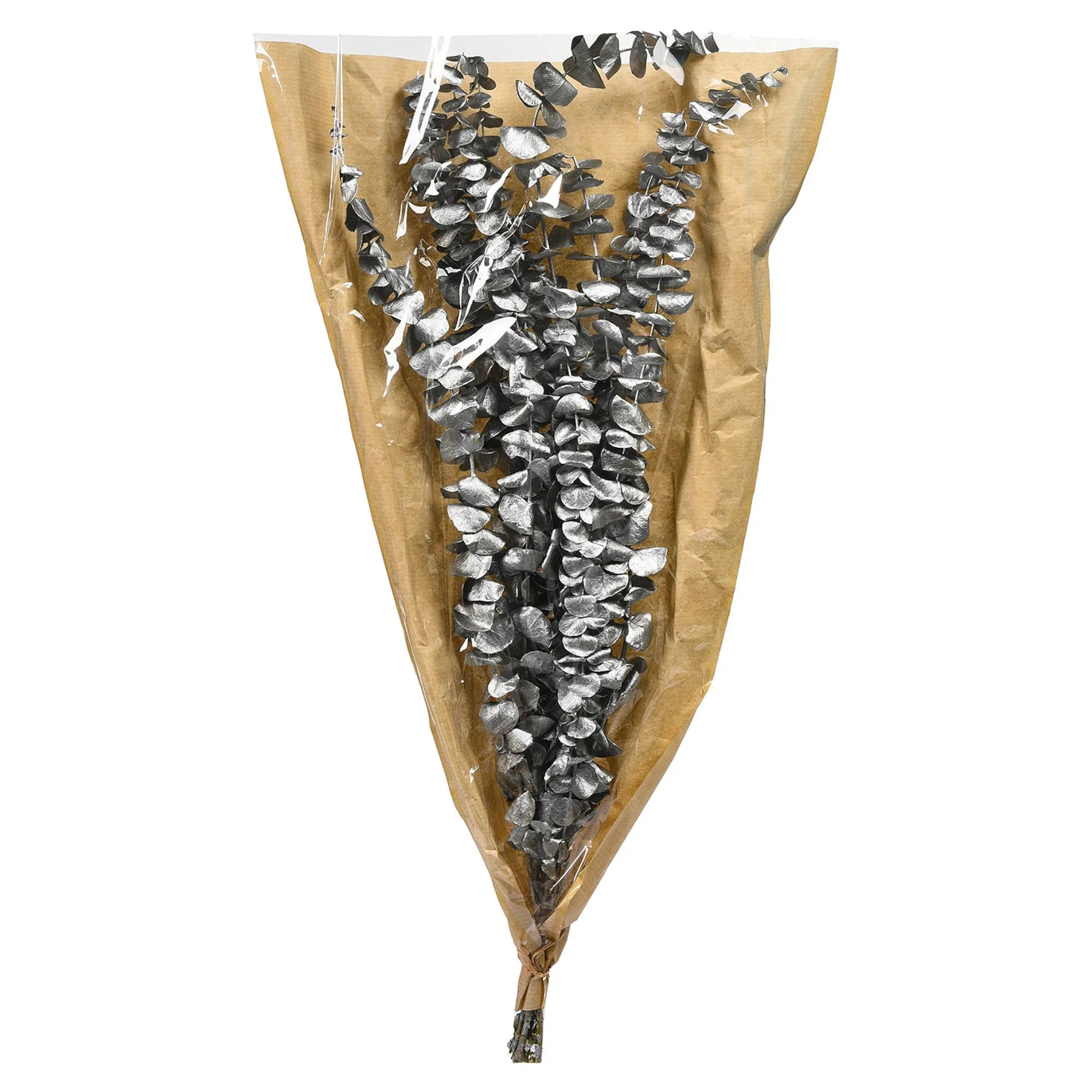 Trockenblume Eukalyptus Ca.55C^Depot Cheap