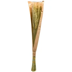 Sale Depot Trockenblume Gerste