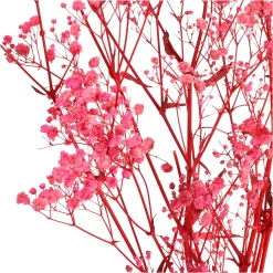 Fashion Depot Trockenblume Gypsophilia