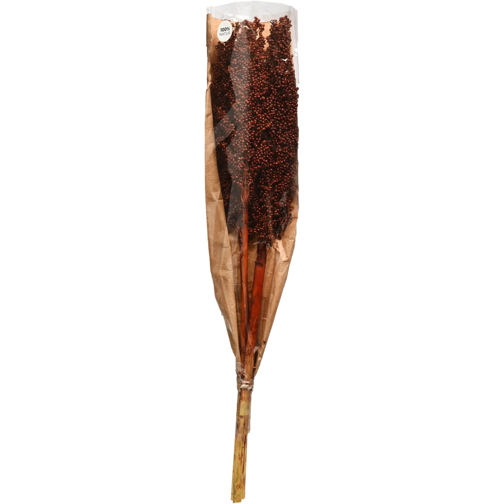Best Depot Trockenblume Indian Corn