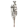 Trockenblumenbund Beeren^Depot Best