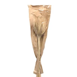 Best Sale Depot Trockenblumen-Bundel Ahren
