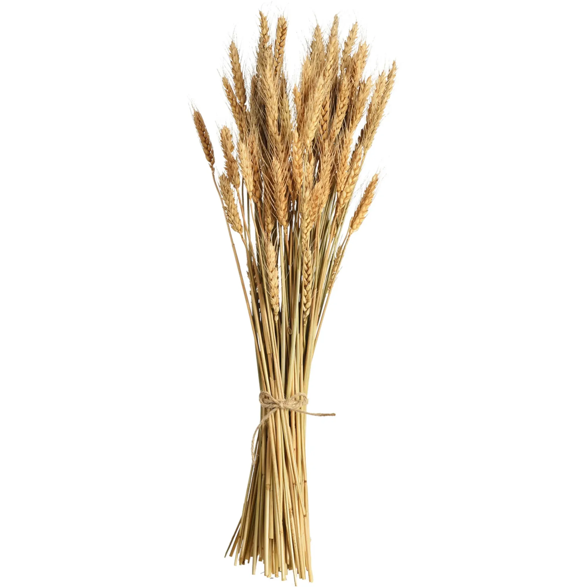 Best Sale Depot Trockenblumen-Bundel Ahren