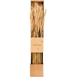 Best Sale Depot Trockenblumen-Bundel Ahren