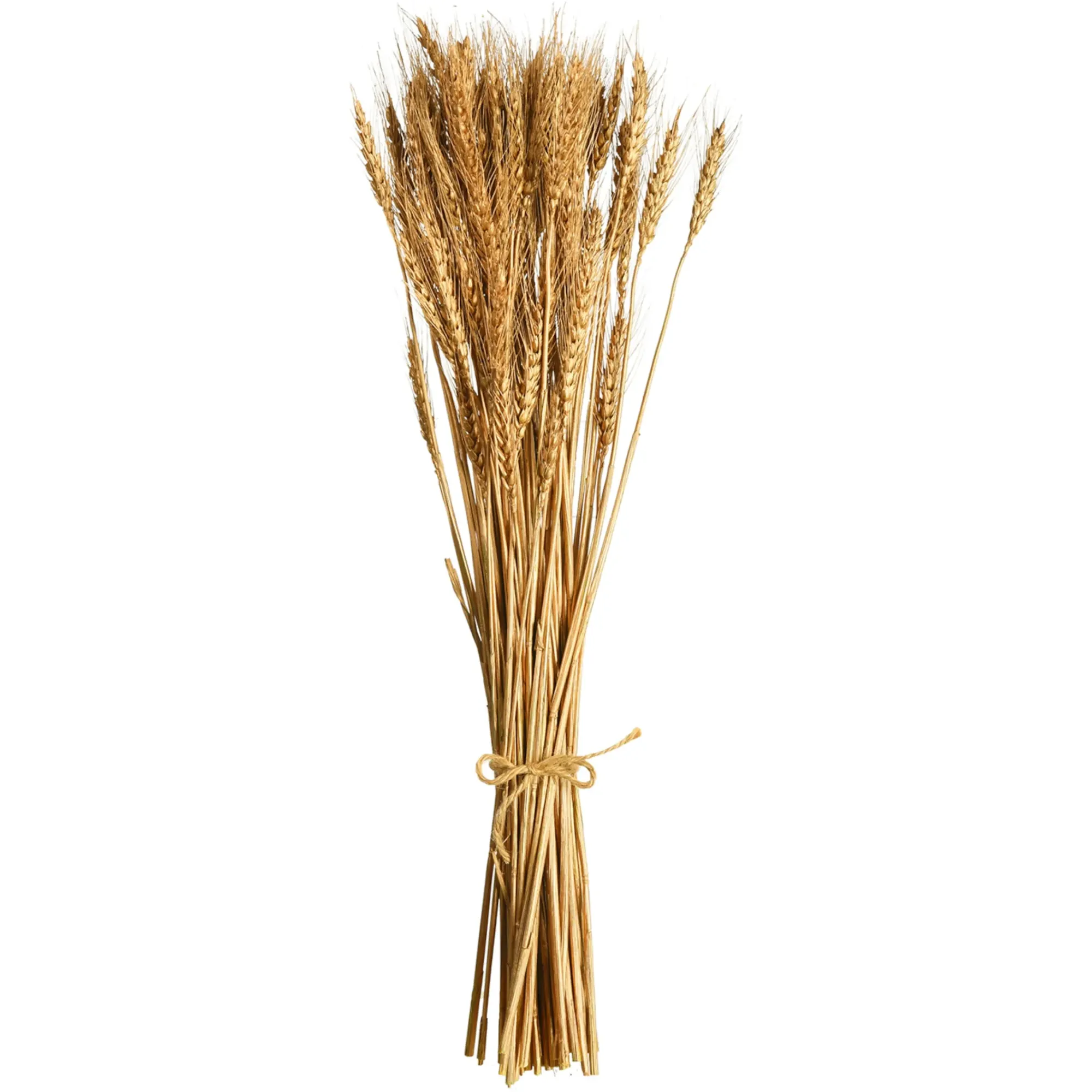 Clearance Depot Trockenblumen-Bundel Ahren