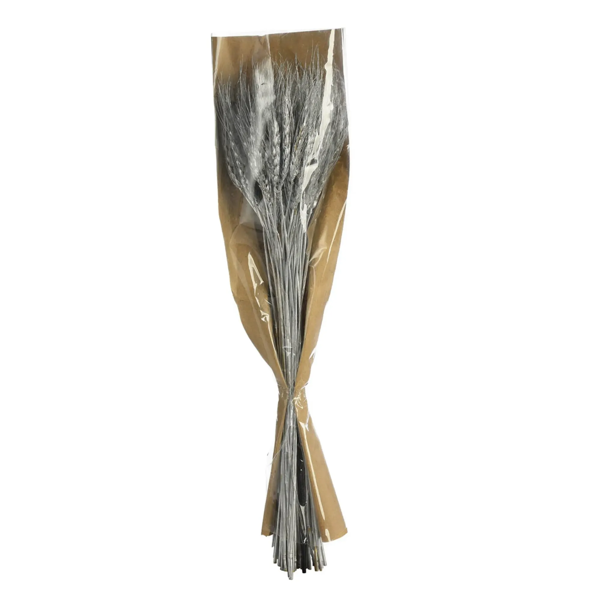Cheap Depot Trockenblumen-Bundel Ahren