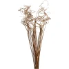 Cheap Depot Trockenblumen-Bundel Curly