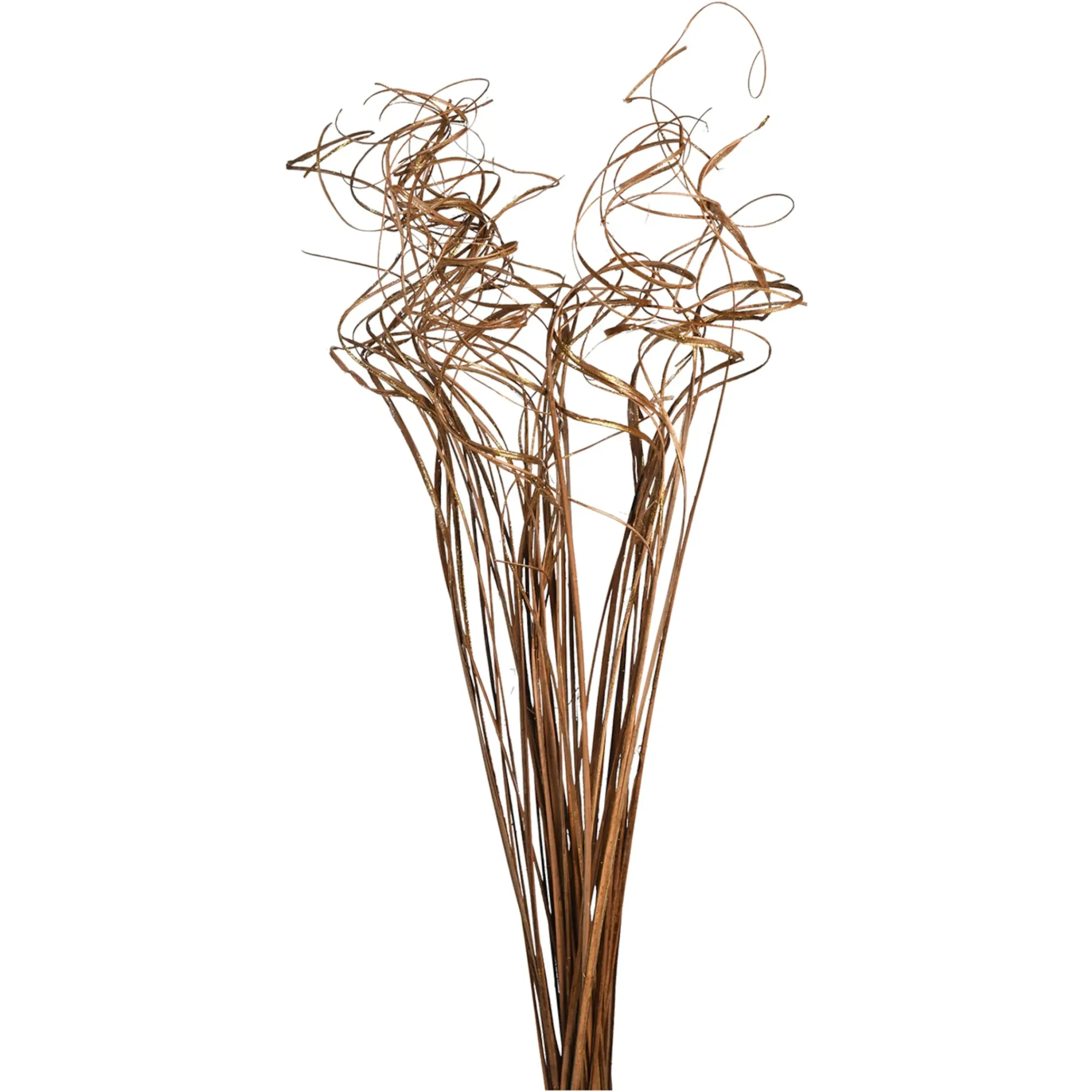Cheap Depot Trockenblumen-Bundel Curly