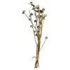 Trockenblumenbund Knospenzweige^Depot Store