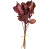 Store Depot Trockenblumenbund Leaves