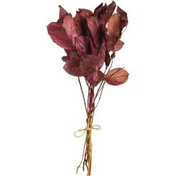 Store Depot Trockenblumenbund Leaves