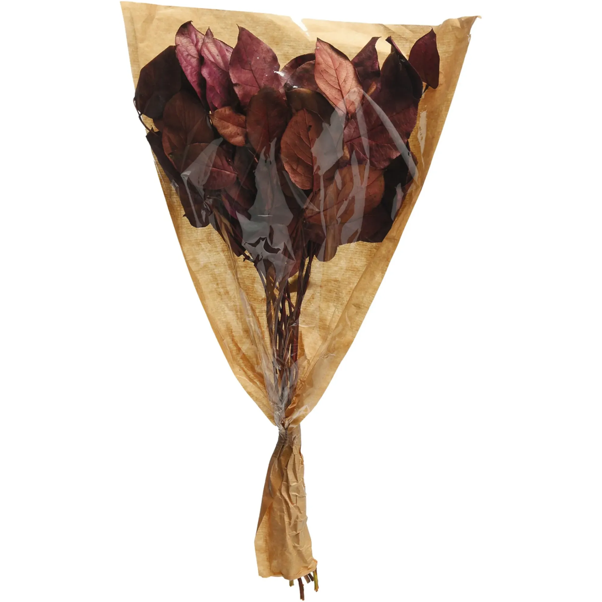 Store Depot Trockenblumenbund Leaves