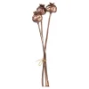 Trockenblumenbund Mohnkapseln^Depot Discount