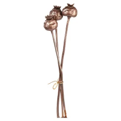 Trockenblumenbund Mohnkapseln^Depot Discount