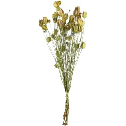 Cheap Depot Trockenblumenbund Nigella