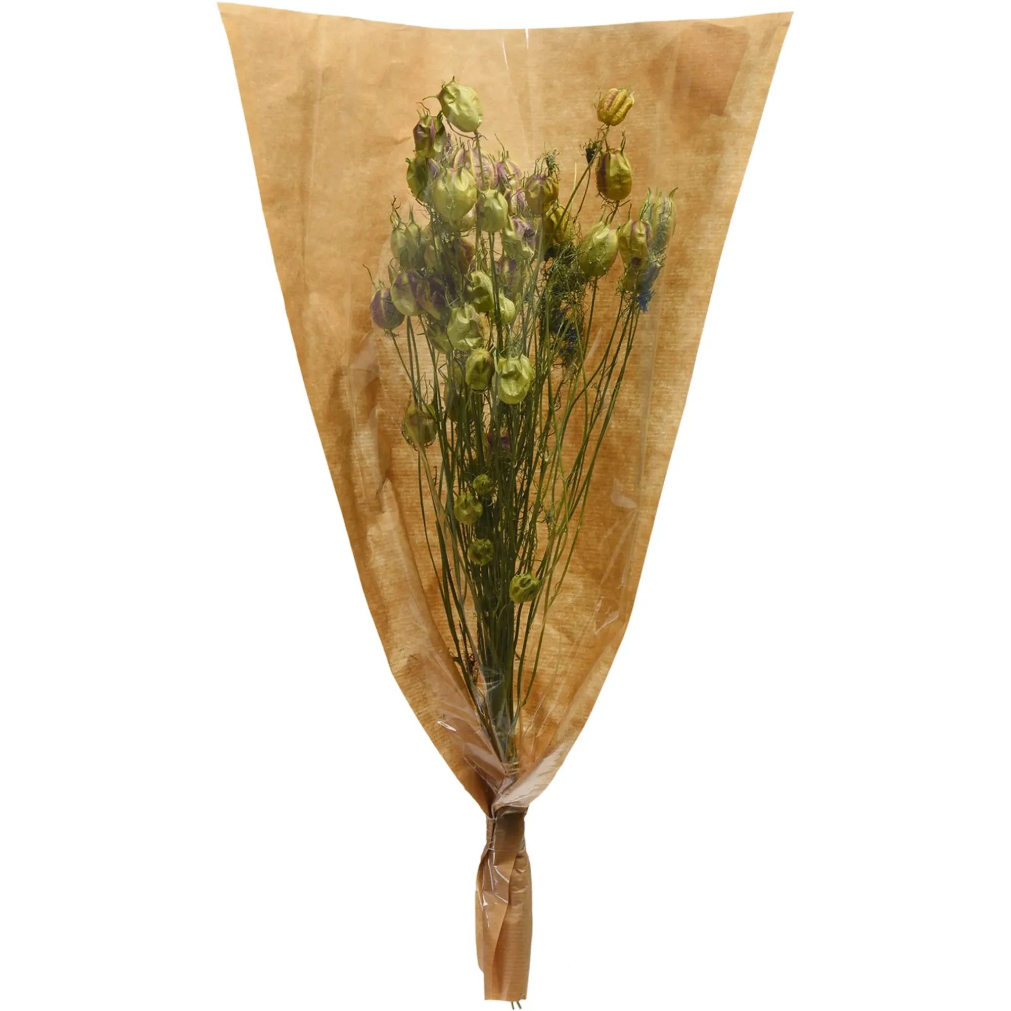 Cheap Depot Trockenblumenbund Nigella