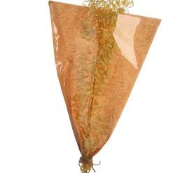 Discount Depot Trockenblumenbund Ruscus