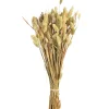 Trockenblumenbund Samtgras^Depot Clearance