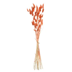 Trockenblumenbund Samtgras^Depot Cheap
