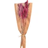 Trockenblumenbund Samtgras^Depot Shop