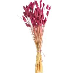 Trockenblumenbund Samtgras^Depot Shop