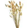 Store Depot Trockenblumenbund Samtgras