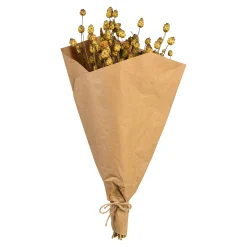 Trockenblumenbund Sonnenwend^Depot Best