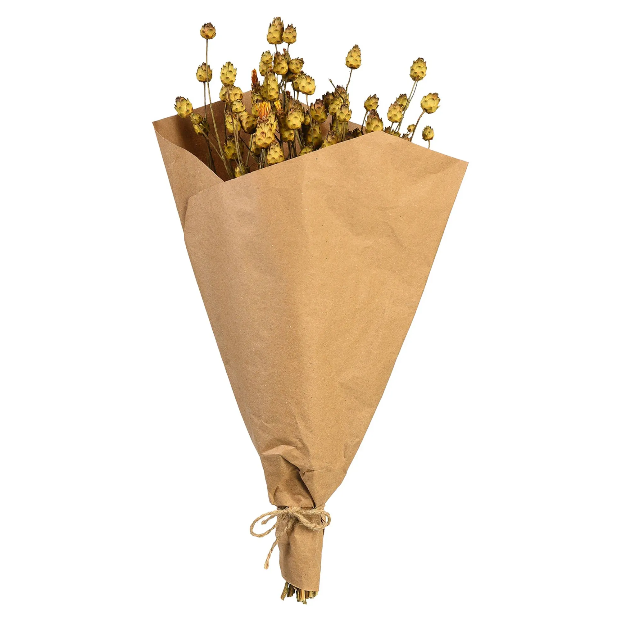 Trockenblumenbund Sonnenwend^Depot Best