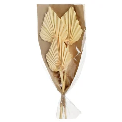 Trockenblumen Palmleaf^Depot Sale