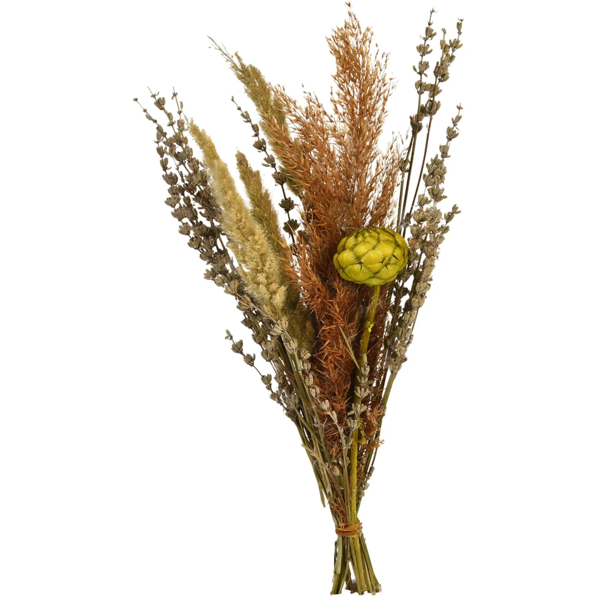 Sale Depot Trockenblumenstraus Dried Flowers