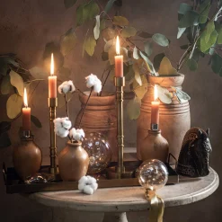Trockenblumenzweig Baumwolle^Depot Clearance