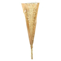 Trockenblume Paternostererbse^Depot Discount