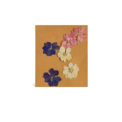 Trockenbluten Fruhlingsblumenmix, Gepresst^Depot Shop