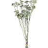 Sale Depot Trockenbundel Achillea