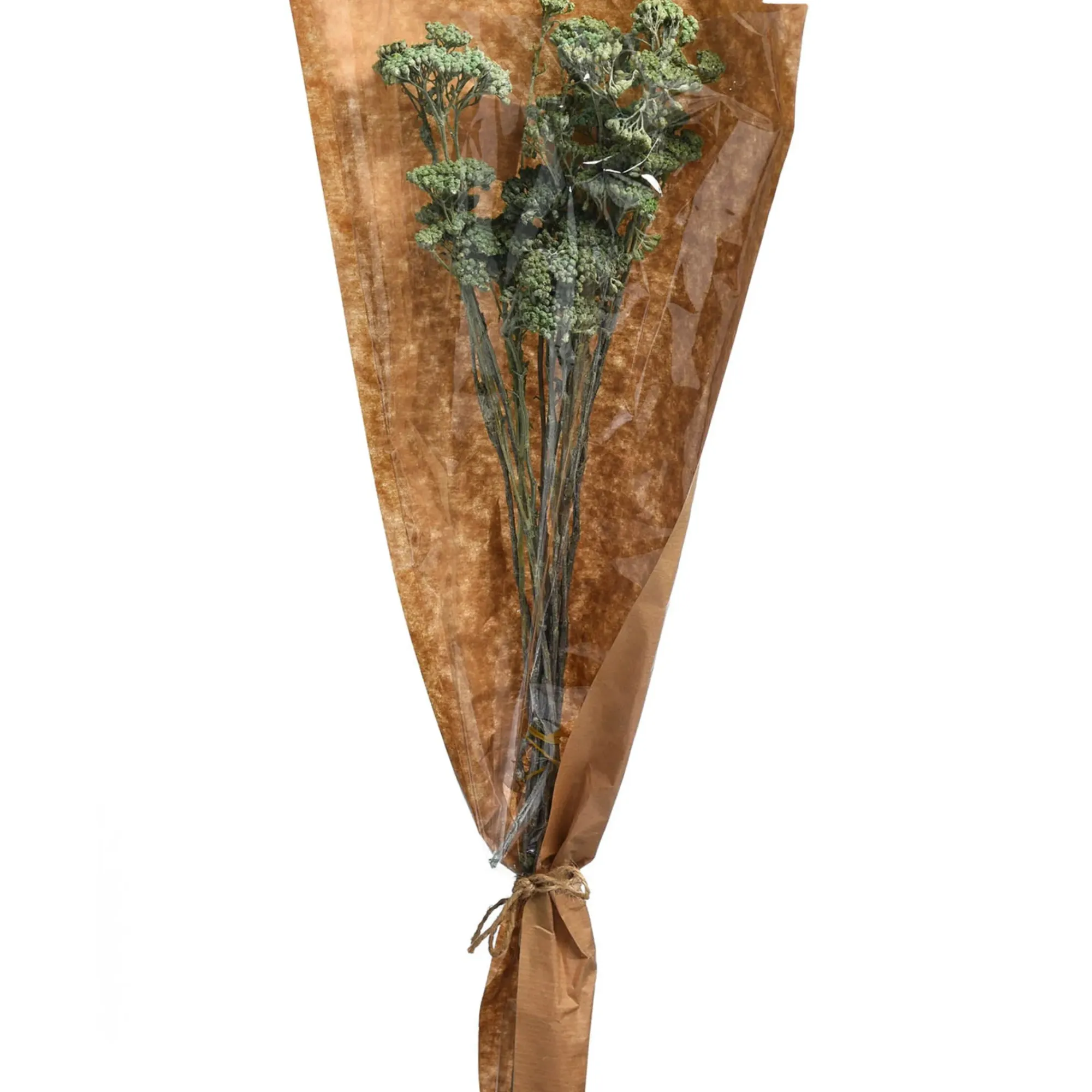 Sale Depot Trockenbundel Achillea