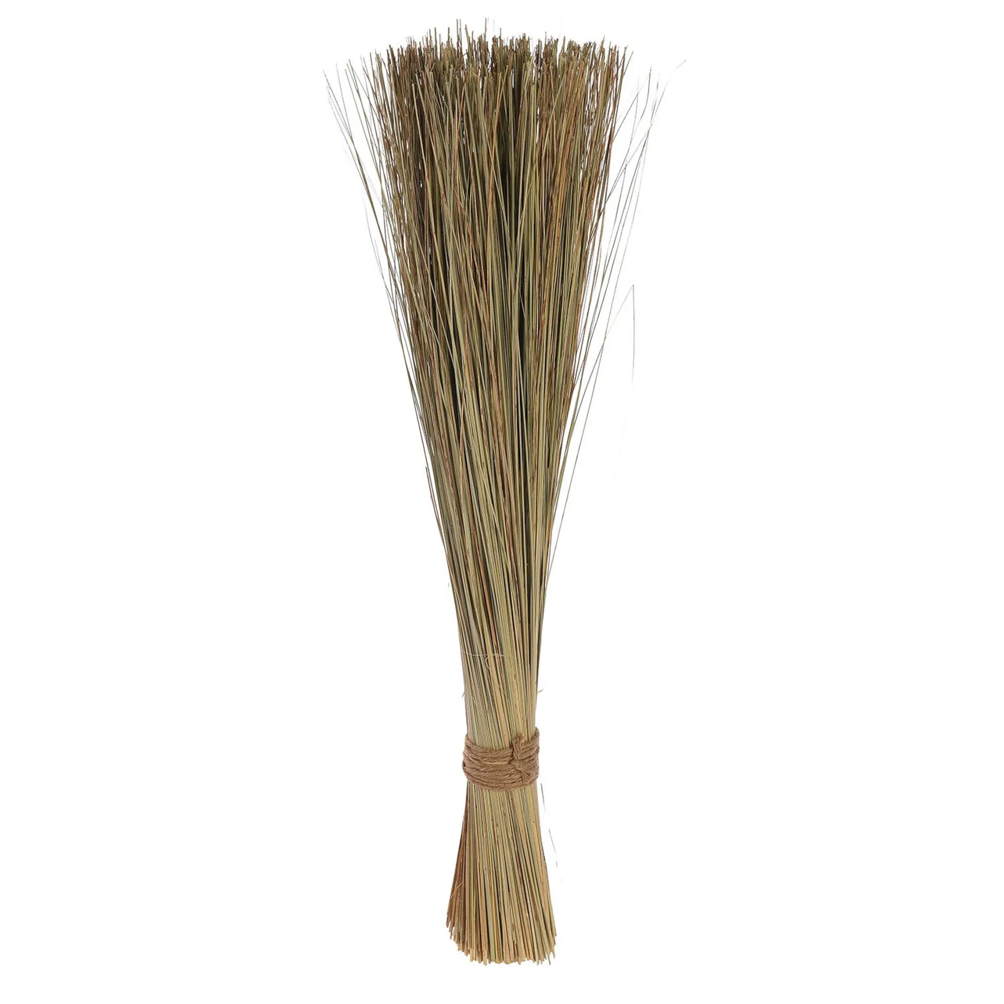 Trockenbundel Beerengras^Depot Outlet