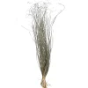 Trockenbundel Gras Metallic^Depot Flash Sale