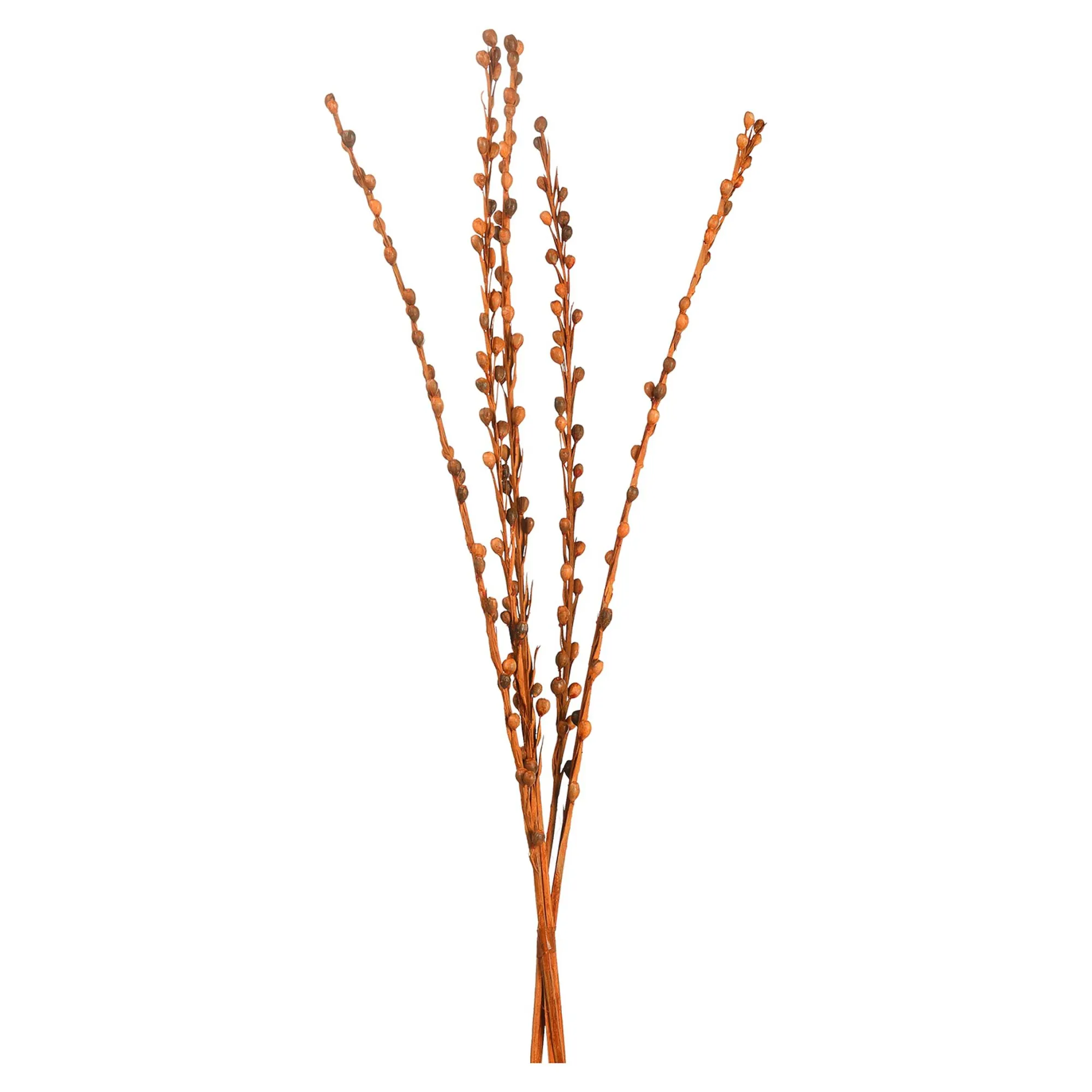Trockenbundel Seaberries^Depot Store