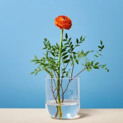 Cheap Depot Vase Bernadette