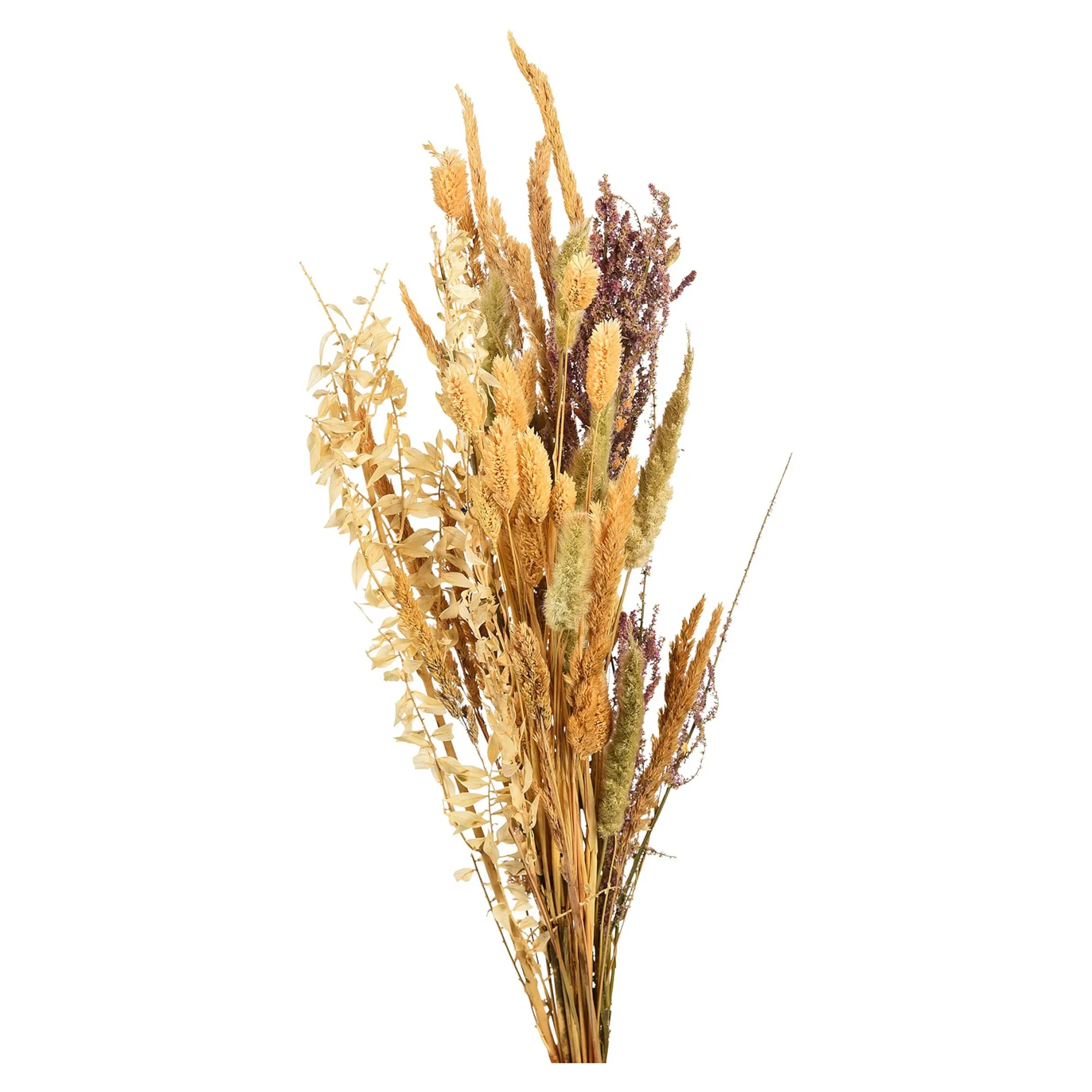 Vase Mit Trockenblumen^Depot Sale