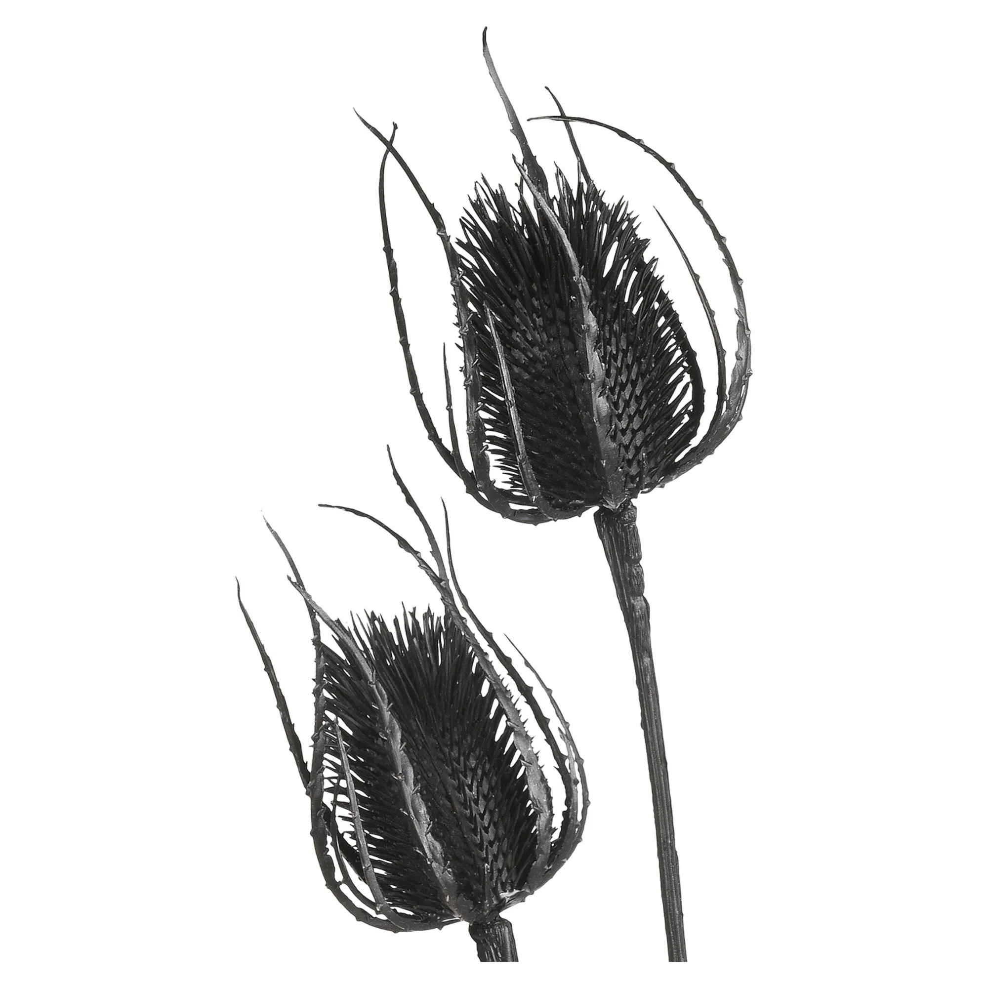 Zweig Distel Ca. 81Cm^Depot Fashion