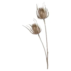 Zweig Distel Ca. 81Cm^Depot Shop