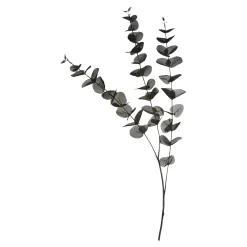 Zweig Eukalyptus Ca.100Cm^Depot Flash Sale